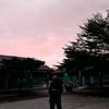 nzwsn5