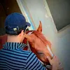 yffn31