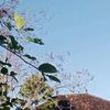 doimu_2104