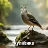 prosto_abobys228