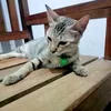 cunengsih_30