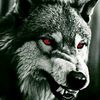 user2602230845477