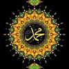 kamaluddenalarabi279957