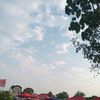 kontol0978
