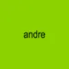 andre._project.01