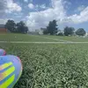 flystr2dee