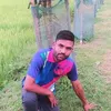 mdanis0655