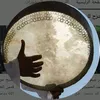 alr_919