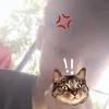 vinhtgn24