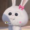 mrssalarsikandar01