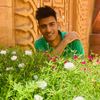 ahmedshawky1050