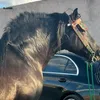 ryadwww.tiktok.com