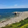 mariarosalatrecch