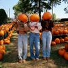 sweet__seasons