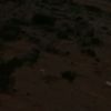 drz___aisha2