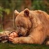 user5bg9l4ttjy