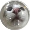 lucythegoosey17