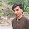 mibrahim054