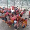 userotrqm8ta8d