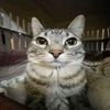 derek_gb_09