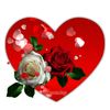 user6033116906922