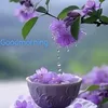 user401114177