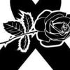 bertha.lopez2937