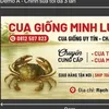 cuagiongcm