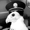 _f7lr_
