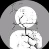 codm855
