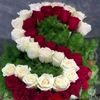 shaizy435