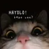 hajiatan00