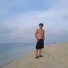 arl_ansyh
