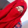 arain1254