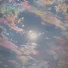 p_tu_hi