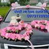 tin.tng.dvdl