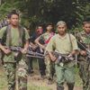kacanglupakulit344