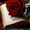 aljomili.aa