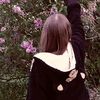 sofixx450