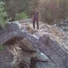 vavvardanyan