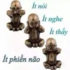 dieuthuan68