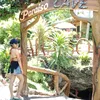 c__0429rosecc
