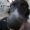 userddiyqd6bef