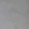asila_tari