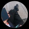 isaacabreu382