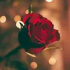 useran0nusi5yz