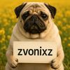 zvonixz