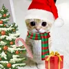 cute_songk