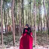 solinsafin213