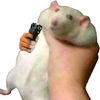 d_point0